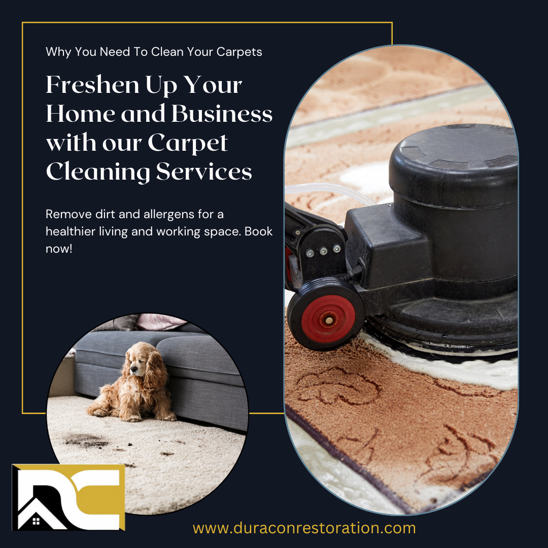 Why Carpet Cleaning for Your Home and Business is Essential