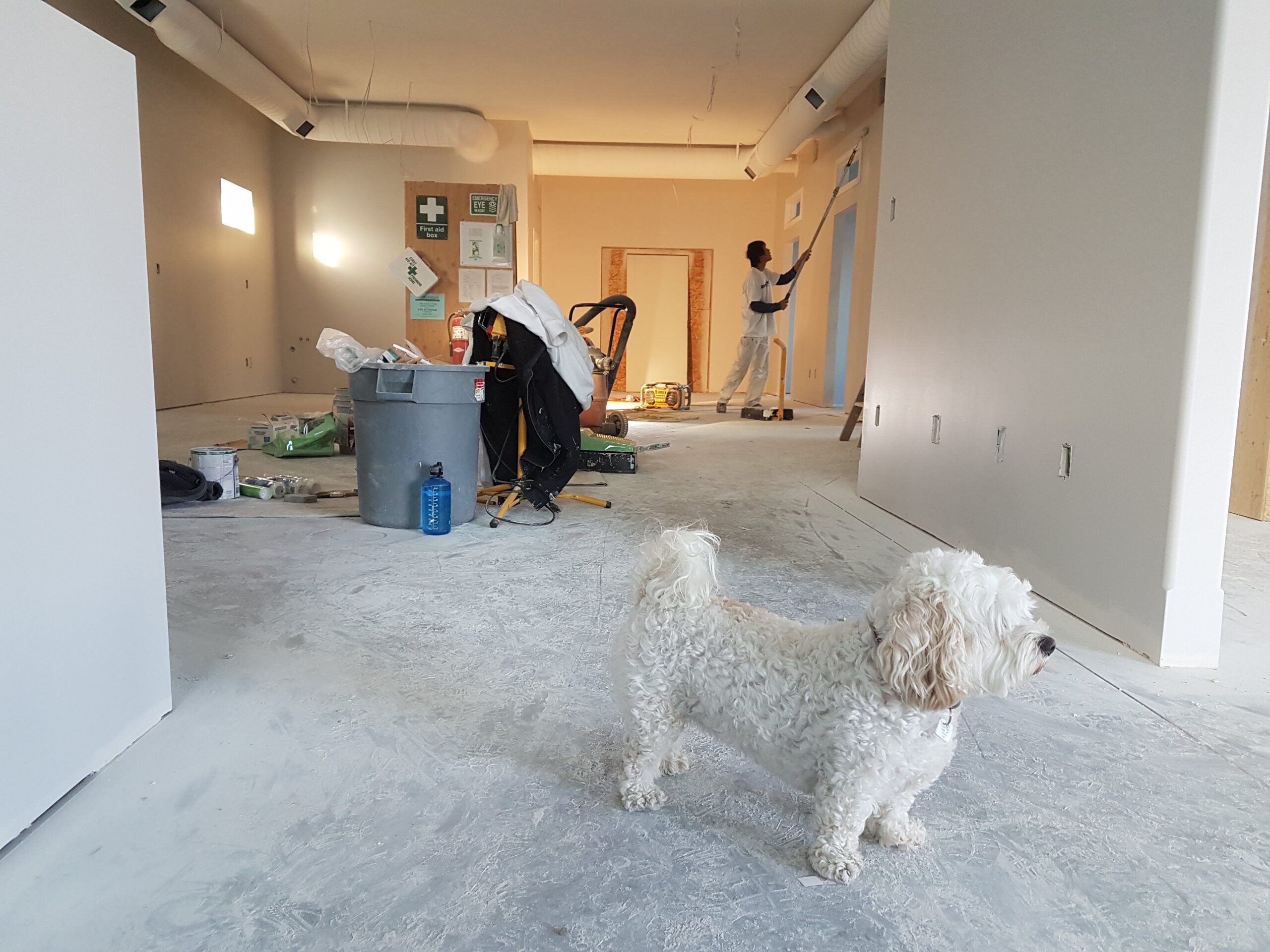 Bunbury Painting Service Takes Interior Painting to New Heights with Exceptional Craftsmanship and Skilled Painters