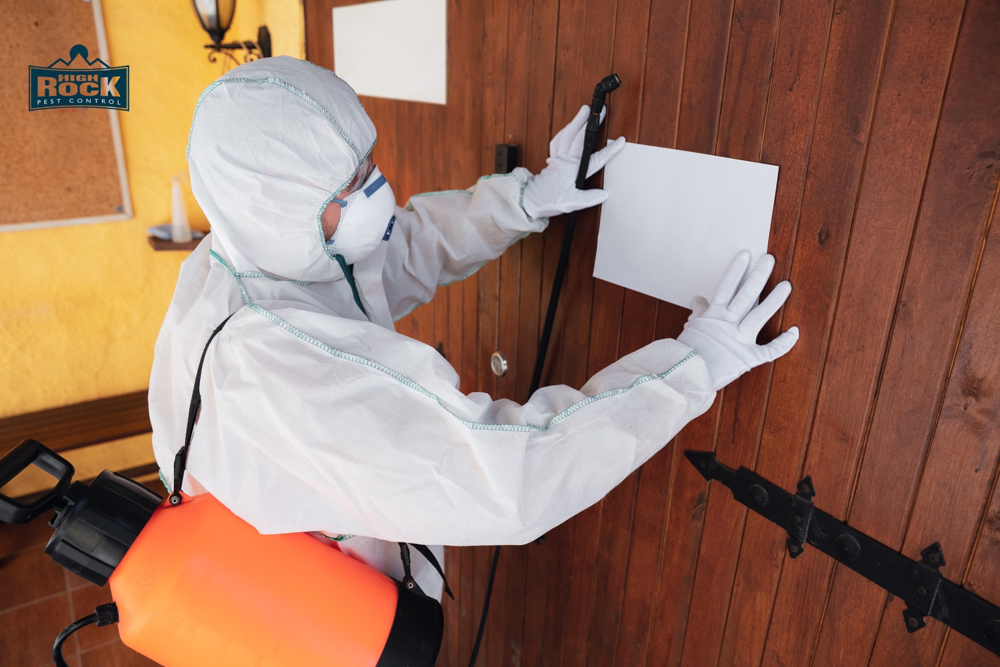 Best Practices for Storing Belongings During Bed Bug Treatment in Cleveland
